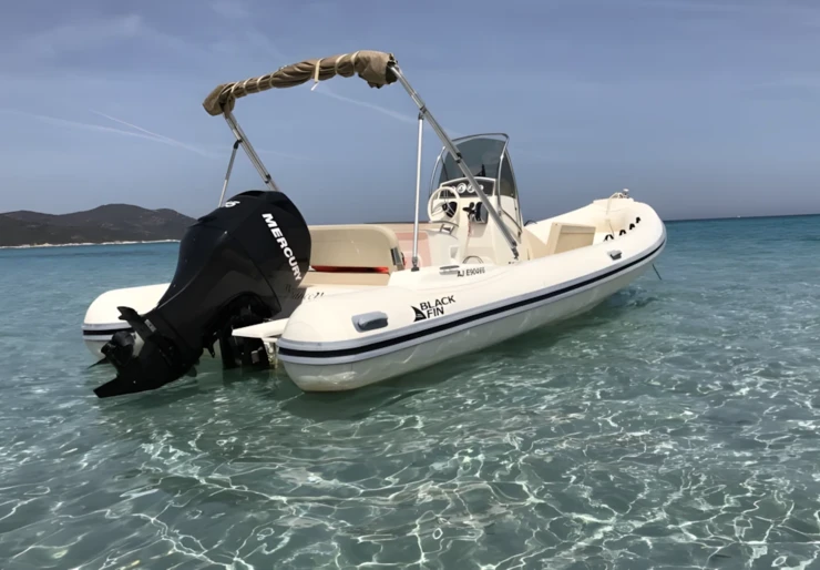 Black Fin 624 Saint Florent | 