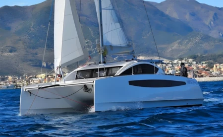 C-Cat 37