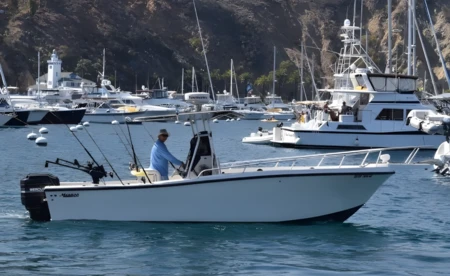 Mako Marine 241