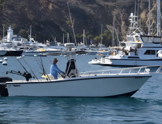 Mako Marine 241