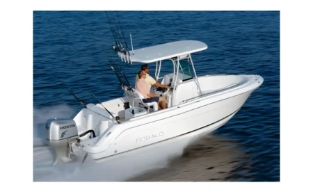 Robalo 220
