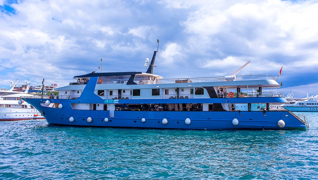 From Dubrovnik to Split, the best of the Croatian coast