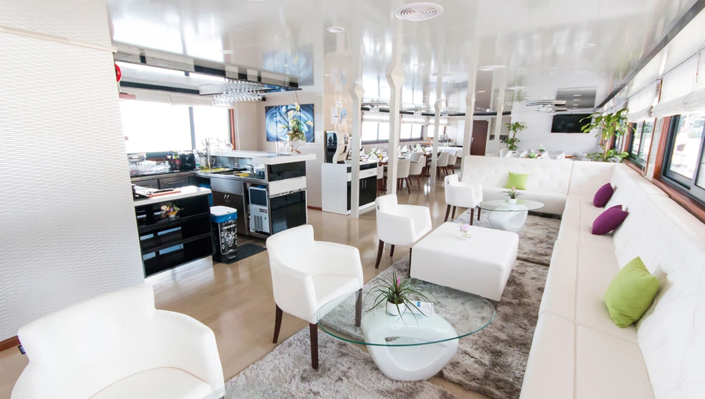 Croatian Odyssey to discover the treasures of the Adriatic