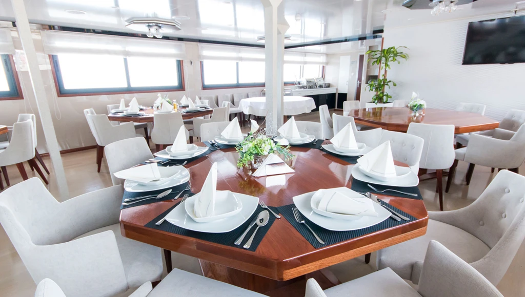 Croatian Odyssey to discover the treasures of the Adriatic