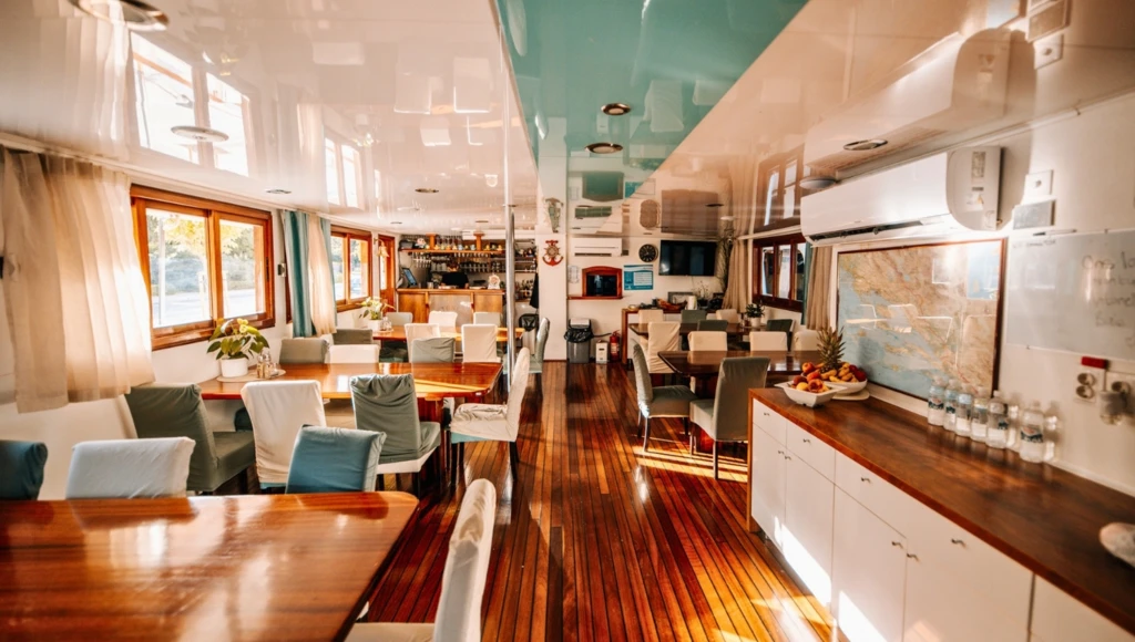 Aventure traditionnelle en Dalmatie : navigation douce entre criques et villages