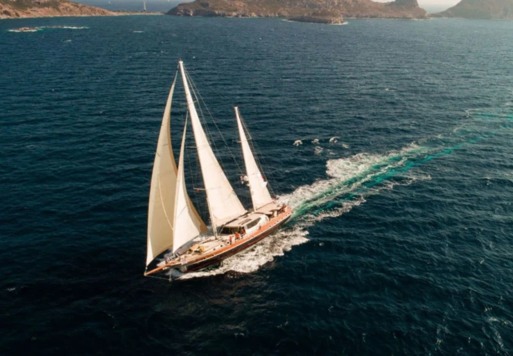 Dragon Fly Marina Milta Marina | DRAGON FLY