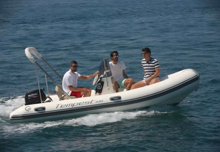 Capelli Tempest 430 Roses | 