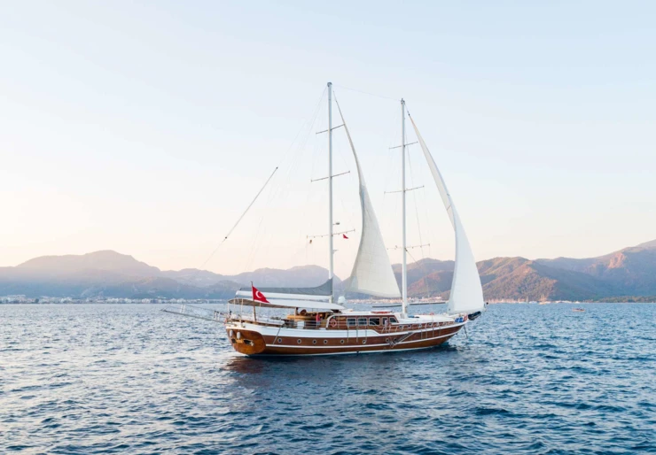 S Nur Taylan Turkey | S Nur Taylan