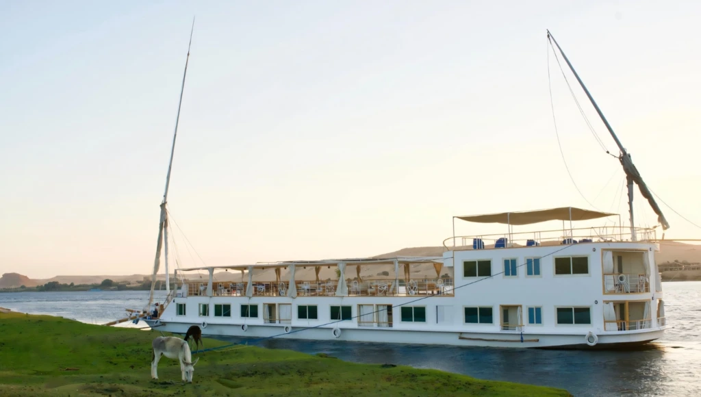 Croisière sur le Nil entre Esna et Assouan, avec visite de Louxor