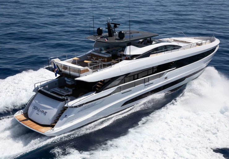 Dopamine Bahamas | ARTEMIS