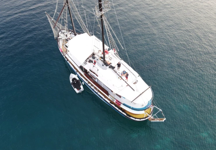 Elena Haven von Split | Elena