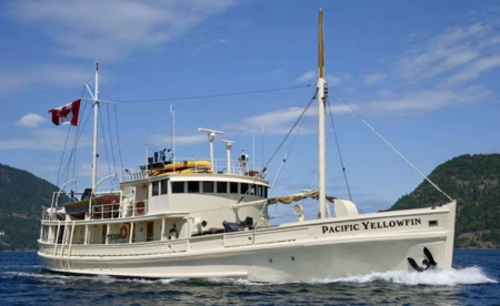 Pacific Yellowfin