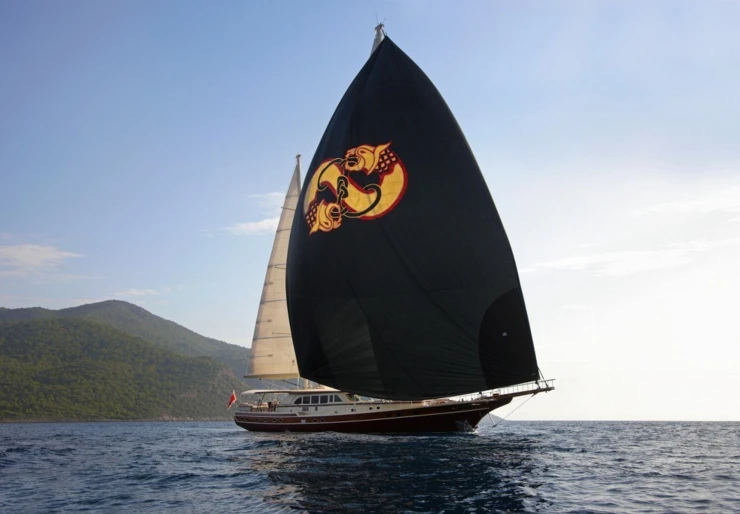 Daima Croazia | DAIMA