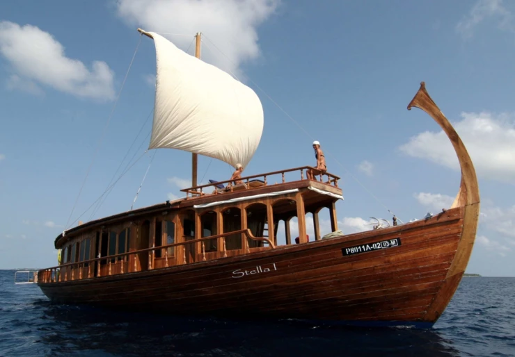 Dhoni Stella 1 Male | Stella 1