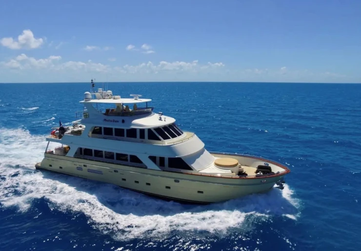 Magical Days Brasilien | MAGICAL DAYS