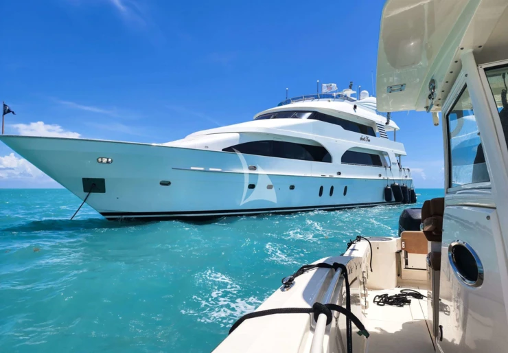 Scott Free Stati Uniti d'America - Sud Est | SCOTT FREE