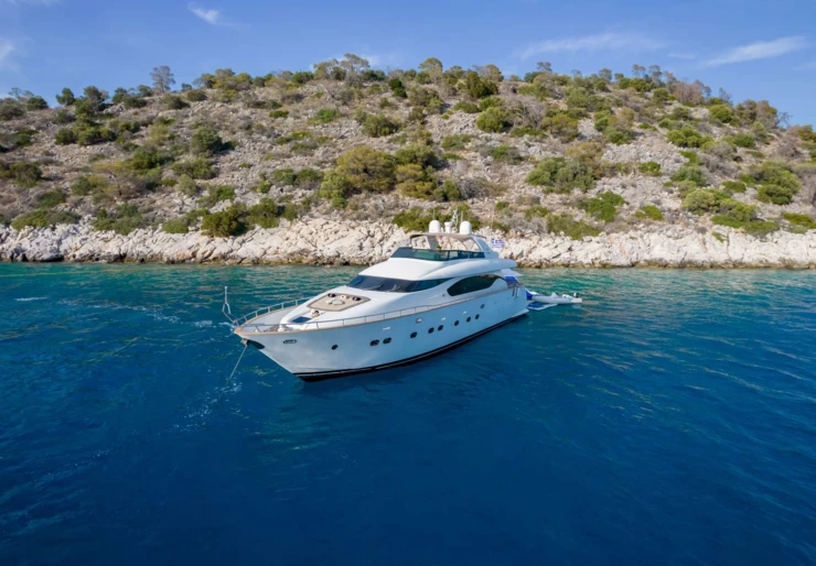 Cookie Grèce | COOKIE