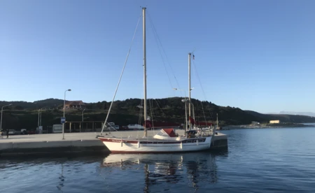 Amphitrite 43
