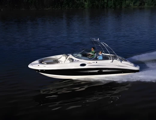 Sea Ray 270