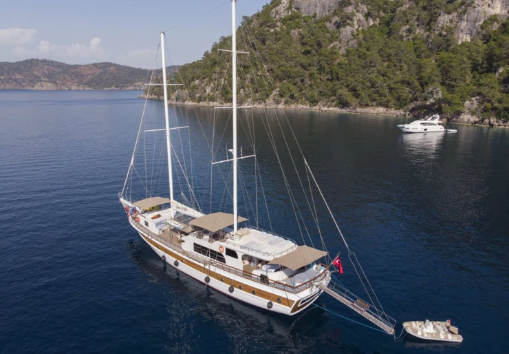 Queen Of Rtt Yat Limani | Queen of RTT