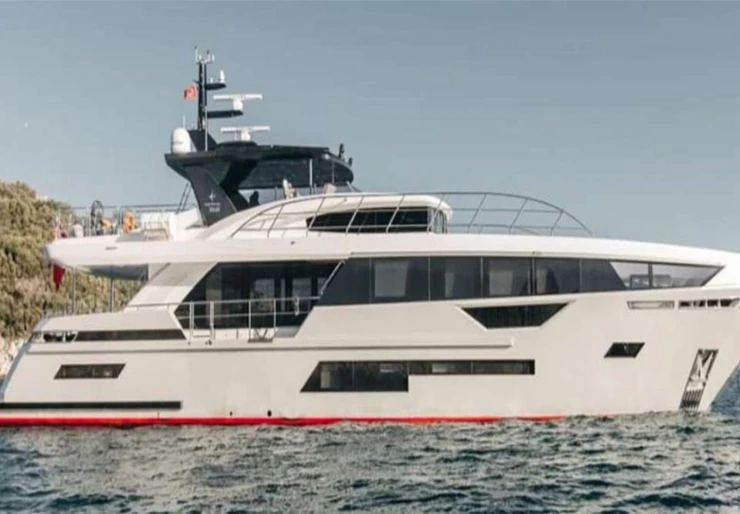 Papillon Caraibi | Papillon