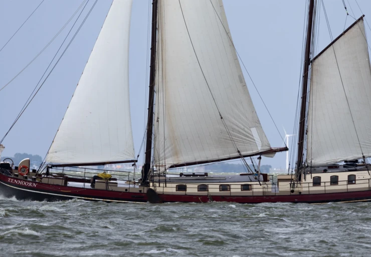 Eenhoorn Enkhuizen |