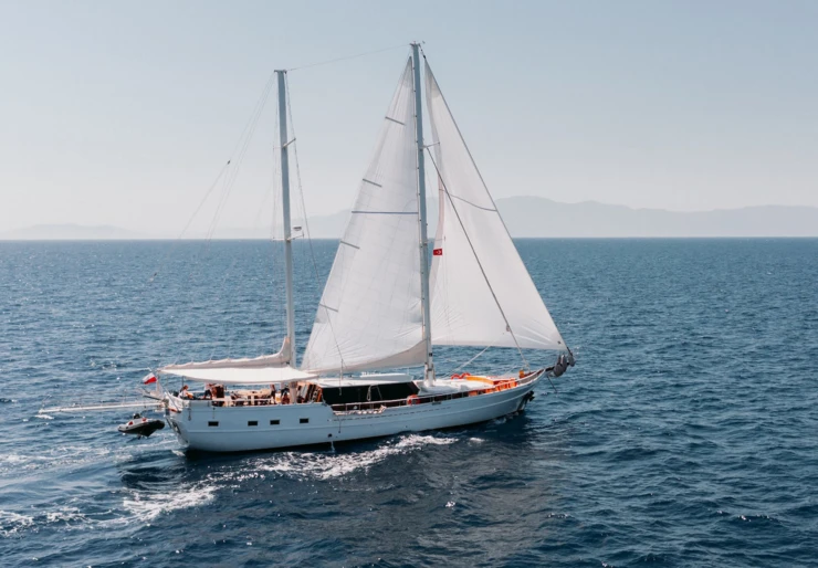 Bevaz Lale Kos | Bevaz Lale