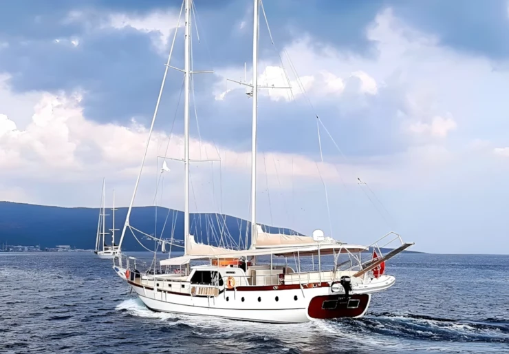 Elifim 11 Marina Milta Marina | Elifim 11