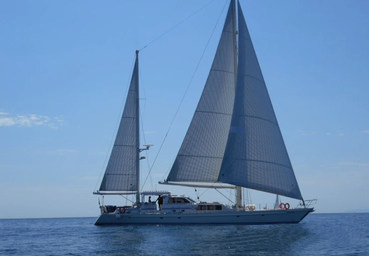 Restless Spirit Roses | Restless Spirit