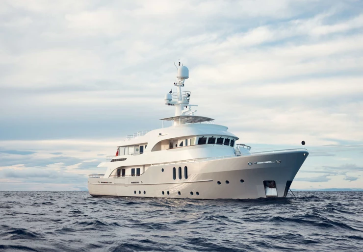 Beluga Australien | BELUGA