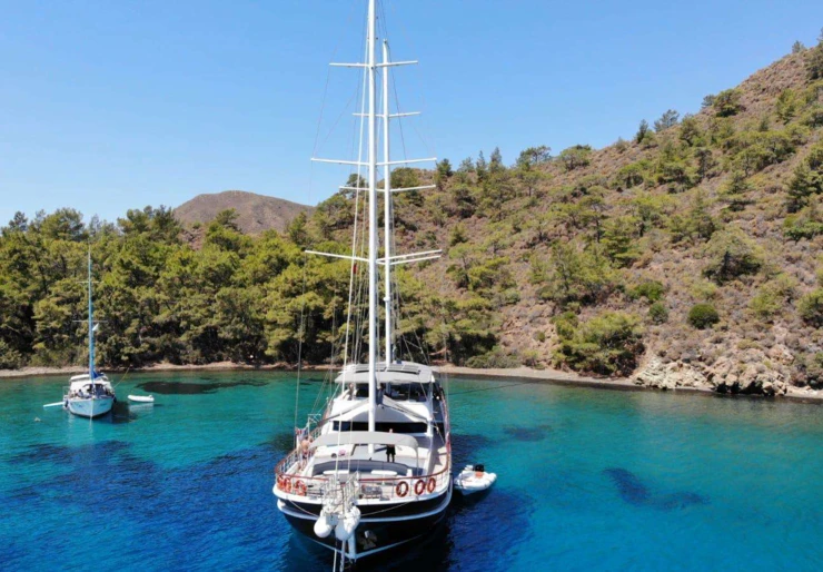 La Mia Stella Turquie | LA MIA STELLA