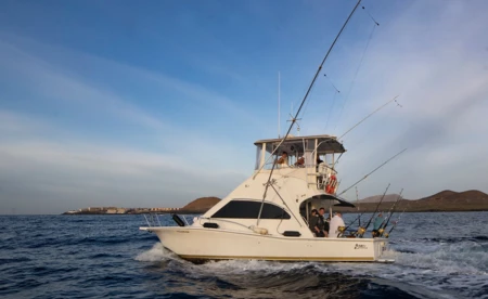 Luhrs 340