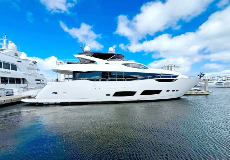 Accidental Success II Caraibi | ACCIDENTAL SUCCESS II