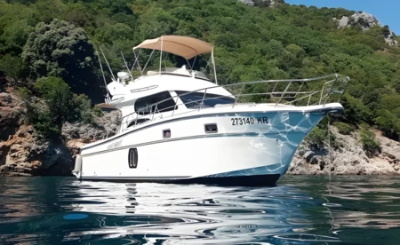 Altair Zafir 42