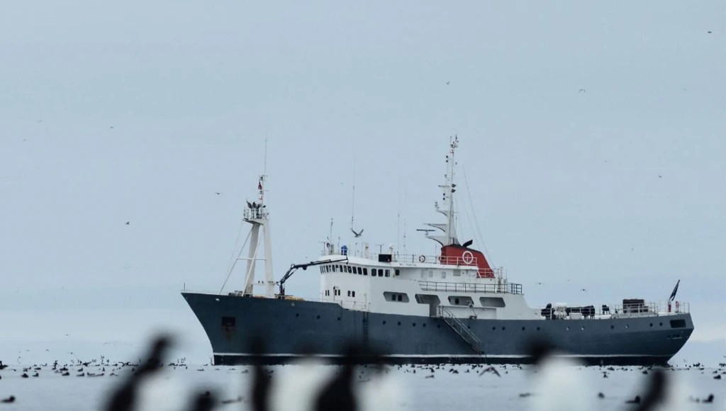 Les joyaux norvégiens : 8 jours de navigation au cœur des îles Lofoten et découverte de la beauté naturelle de Senja