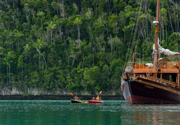 Sequoia Caraibi | SEQUOIA