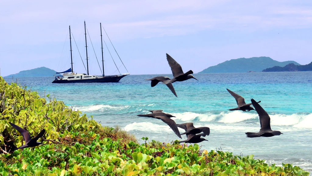 Crucero de ensueño a las Seychelles, sus islas salvajes y sus idílicas playas desiertas