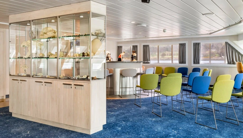 Majestic Norway at Christmas: Arctic Expedition Under the Northern Lights