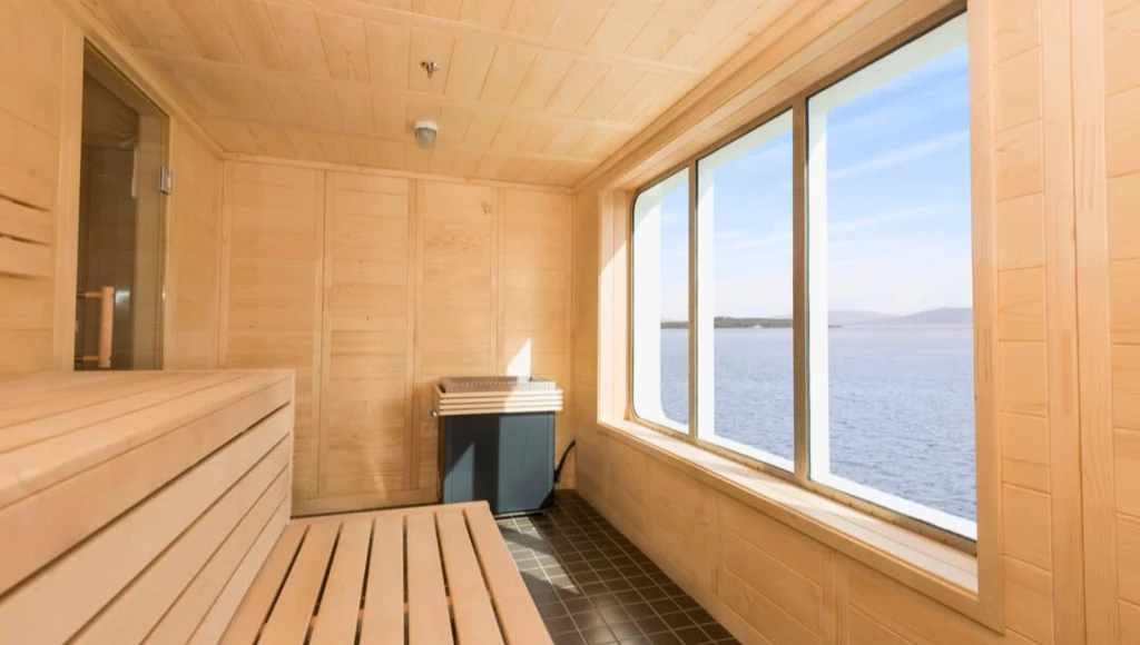 Majestic Norway at Christmas: Arctic Expedition Under the Northern Lights