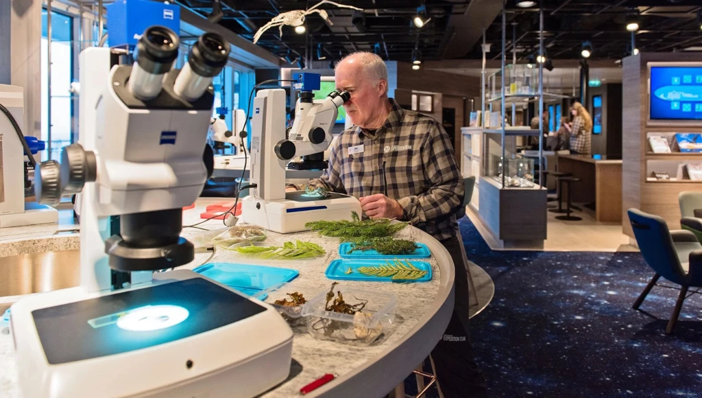 Alaska Inside Passage Cruise: Where Mountains Meet the Sea