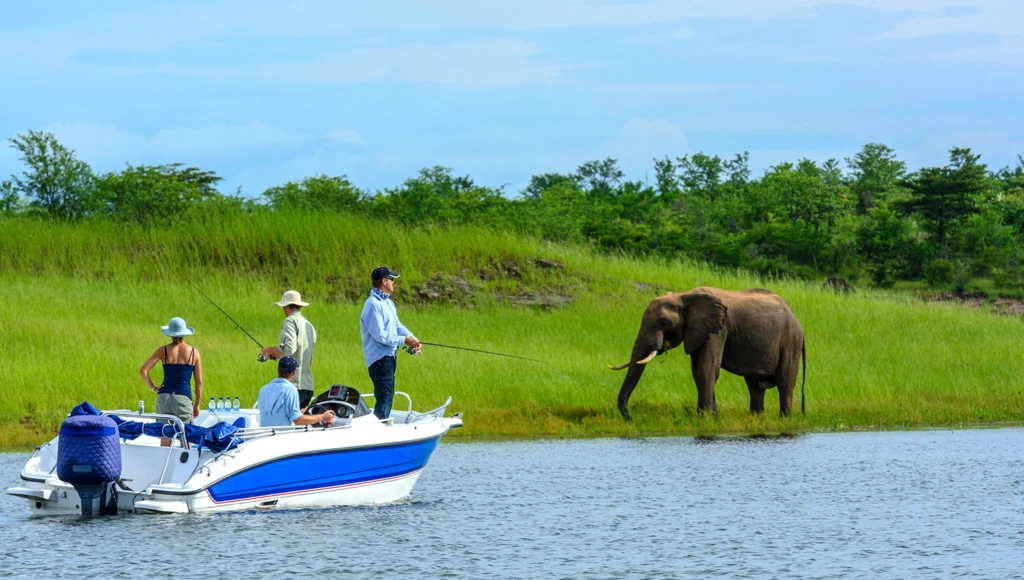 All the magic of Africa on a safari cruise on the Zambezi River and Lake Kariba