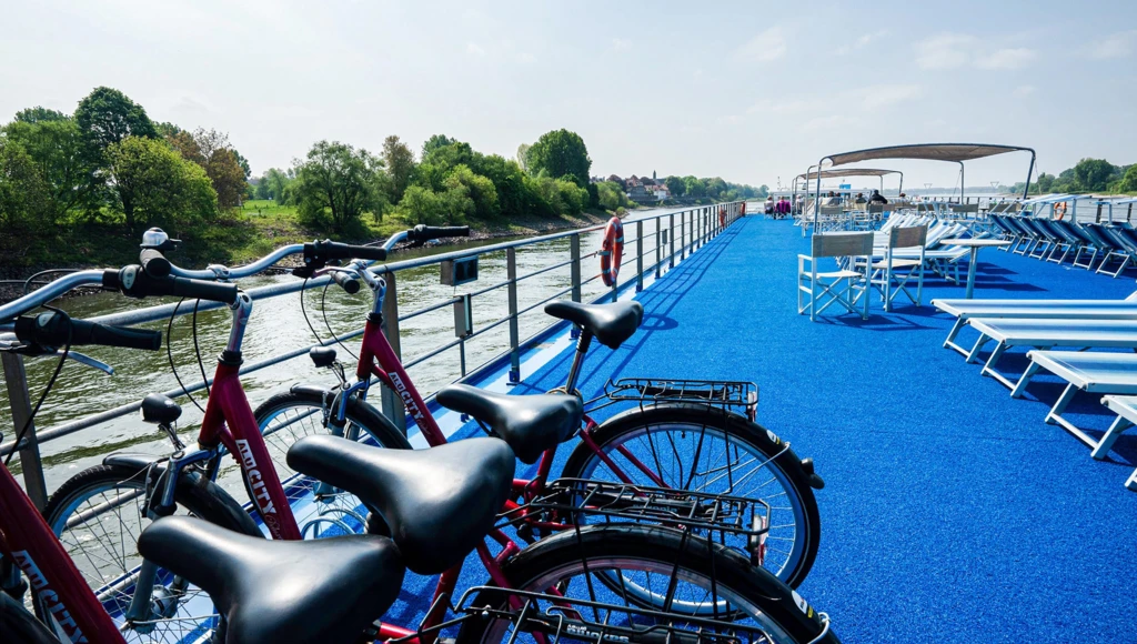 Rapsodia floral en el Rin: crucero de 5 días desde Colonia a Nimega, entre molinos, campos de tulipanes y ciudades artísticas