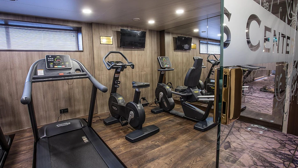 La Moselle enchantée : escapade fluviale au fil des vignes et des châteaux