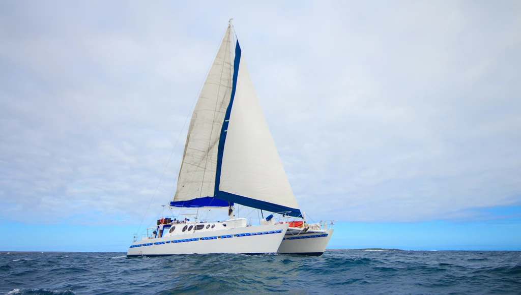 8-day grand tour of the Eastern Galápagos Islands: an unforgettable catamaran adventure