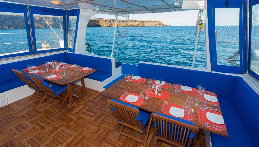 8-day grand tour of the Eastern Galápagos Islands: an unforgettable catamaran adventure