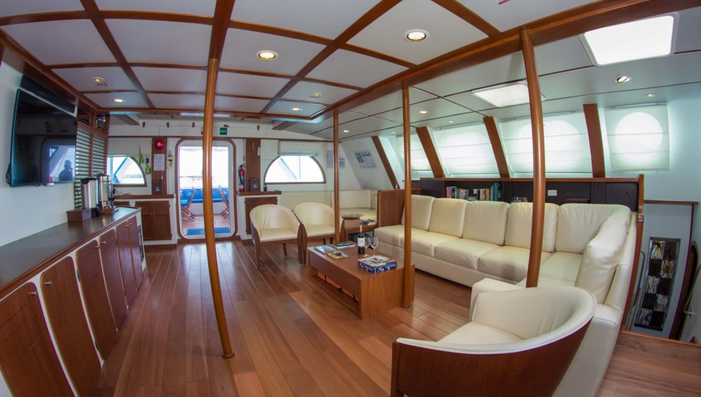 Galápagos: 4-day catamaran cruise through a unique nature sanctuary, from Bachas to Santa Cruz