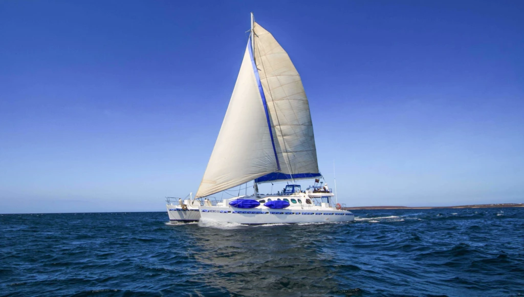 Galápagos: 4-day catamaran cruise through a unique nature sanctuary, from Bachas to Santa Cruz