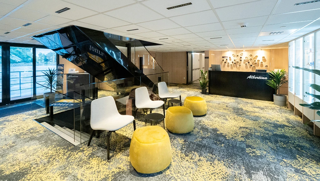 Festive Christmas on the Danube from Vienna