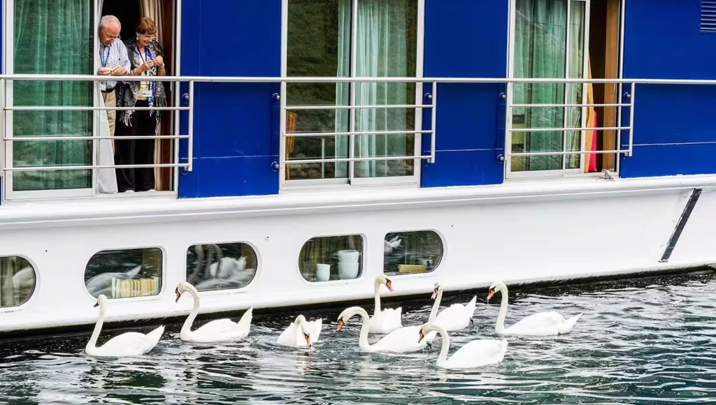 Saveurs et vins de la région bordelaise : une délicieuse croisière œnologique de 7 nuits