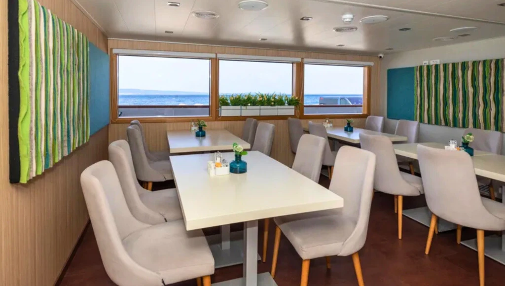 Delicias dálmatas: un interludio encantado entre calas secretas y ciudades históricas, de Dubrovnik a Trogir